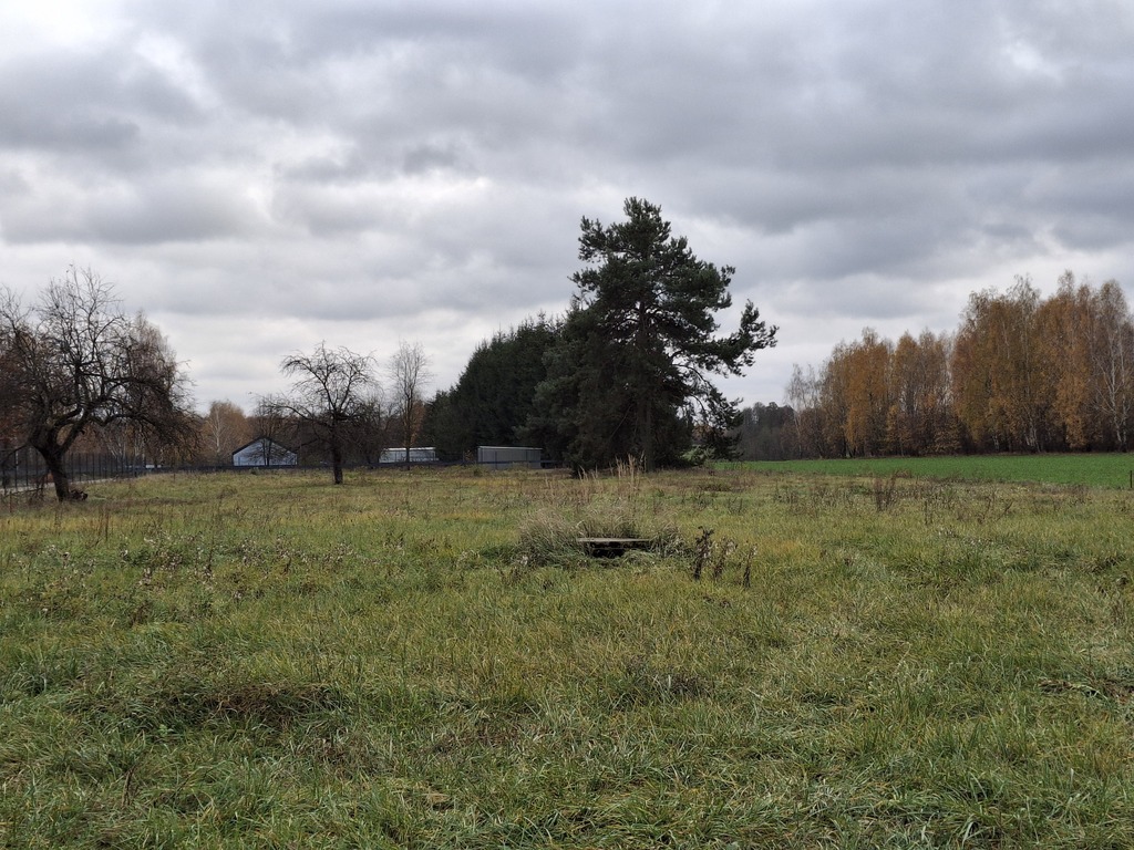Działka 4300 m2 w miejscowości Zboiska - zdjęcie 4