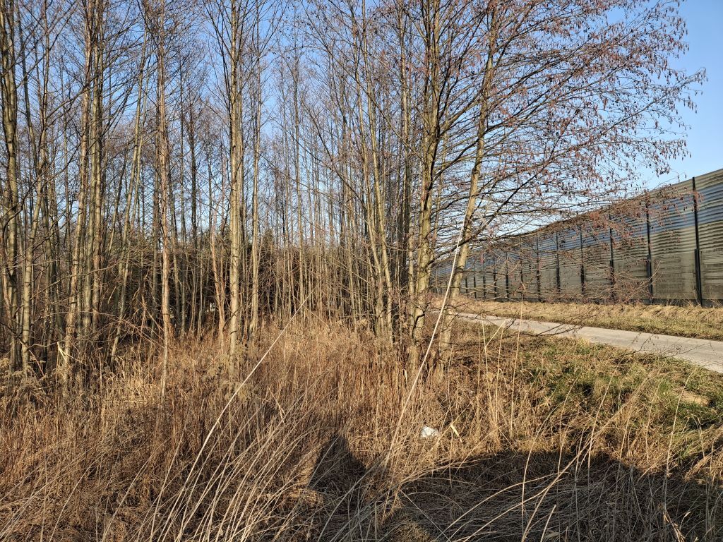 Działka o pow. 8273 m² Radziejowice-Parcel - zdjęcie 3