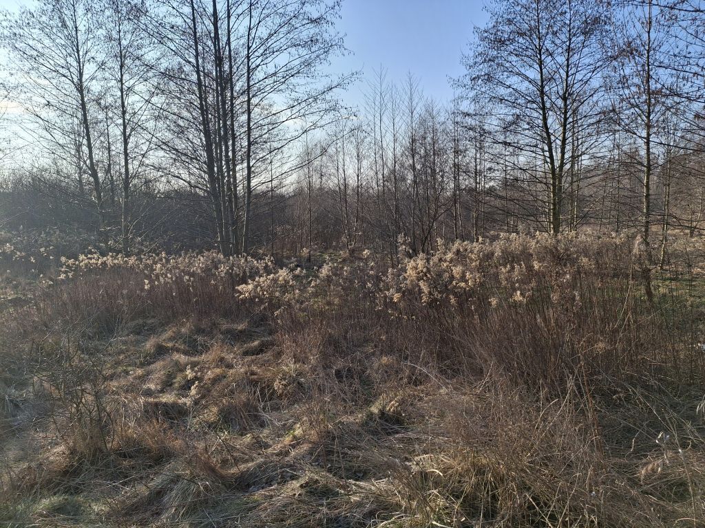Działka o pow. 8273 m² Radziejowice-Parcel - zdjęcie 5