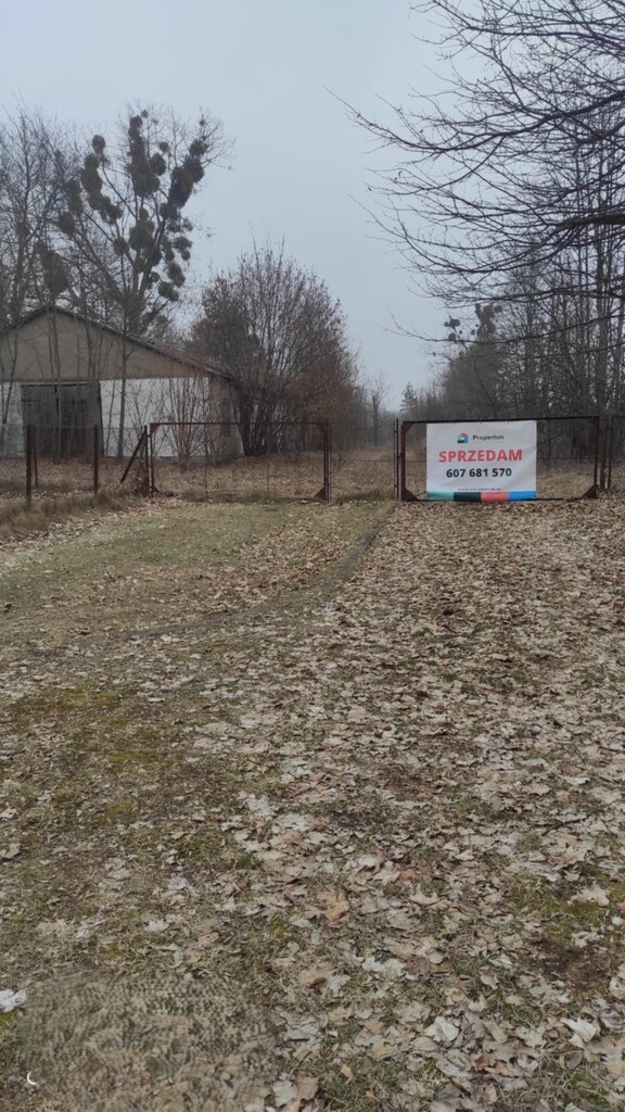 Działka komercyjna Zaborze, blisko Kazimierza - zdjęcie 4