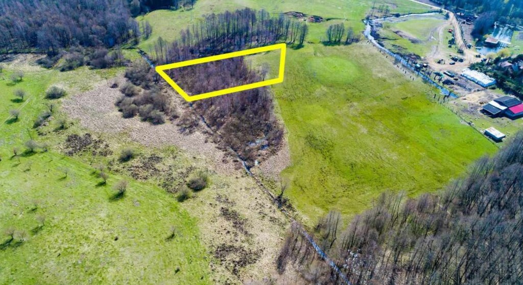 Działka 3017 m2 nad jeziorem Sasek Wielki ! - zdjęcie 6