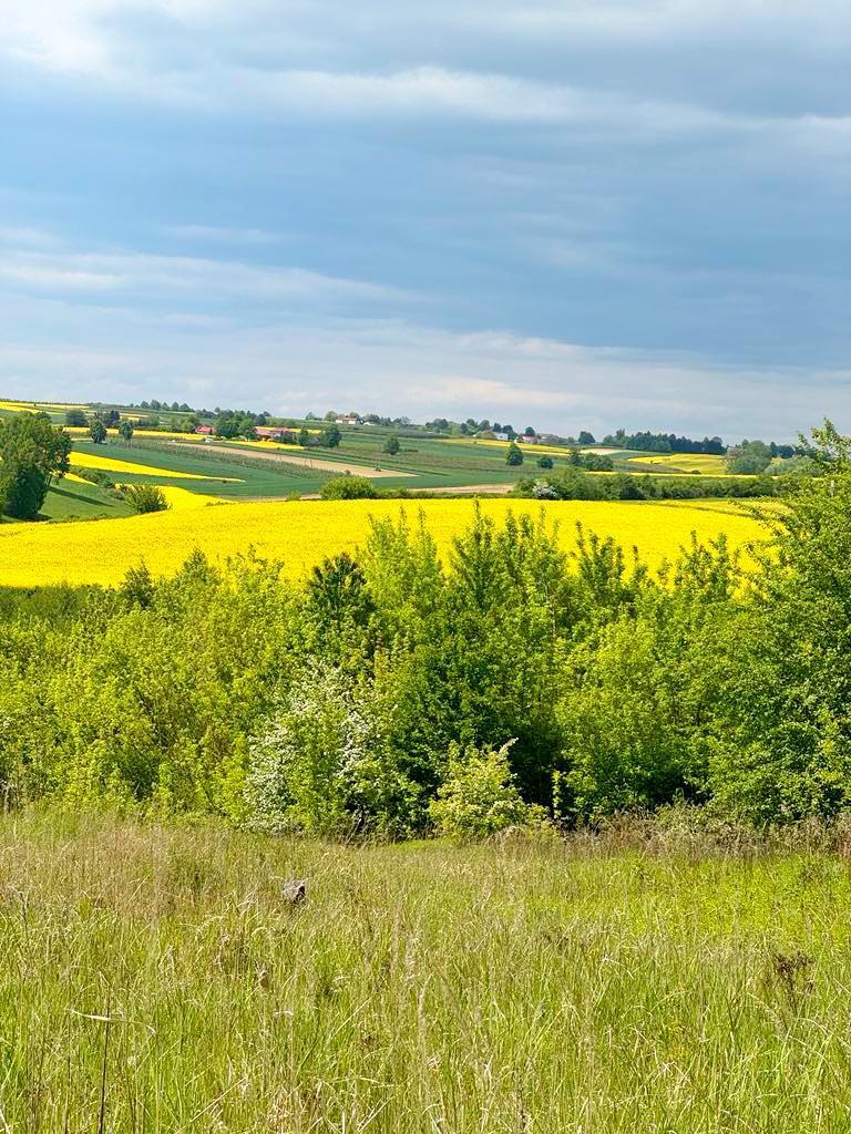 Dom Karwów Opatów 71 m2 działka 3100 m2 cisza - zdjęcie 3