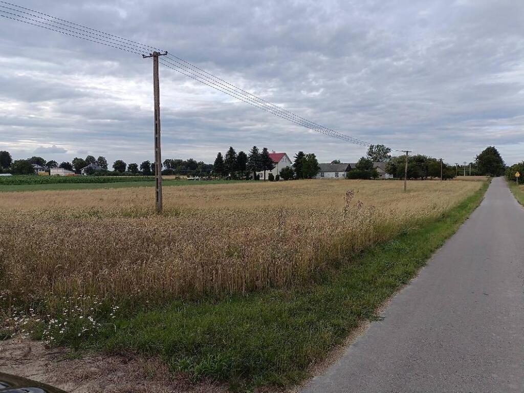 Siedlisko w Ziółkowie - zdjęcie 4