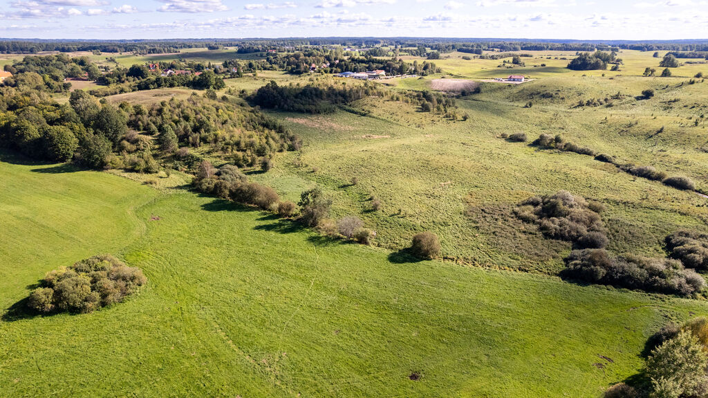 Działki rolne na sprzedaż- niedaleko Barczewa - zdjęcie 3