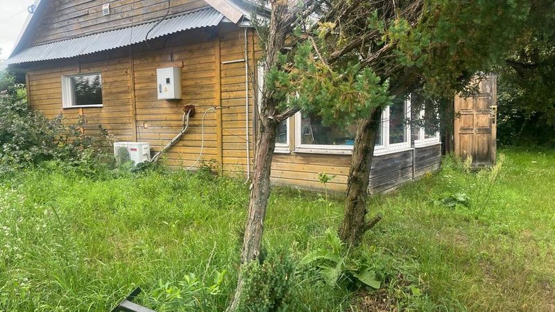 Siedlisko w Chojnie Nowym II