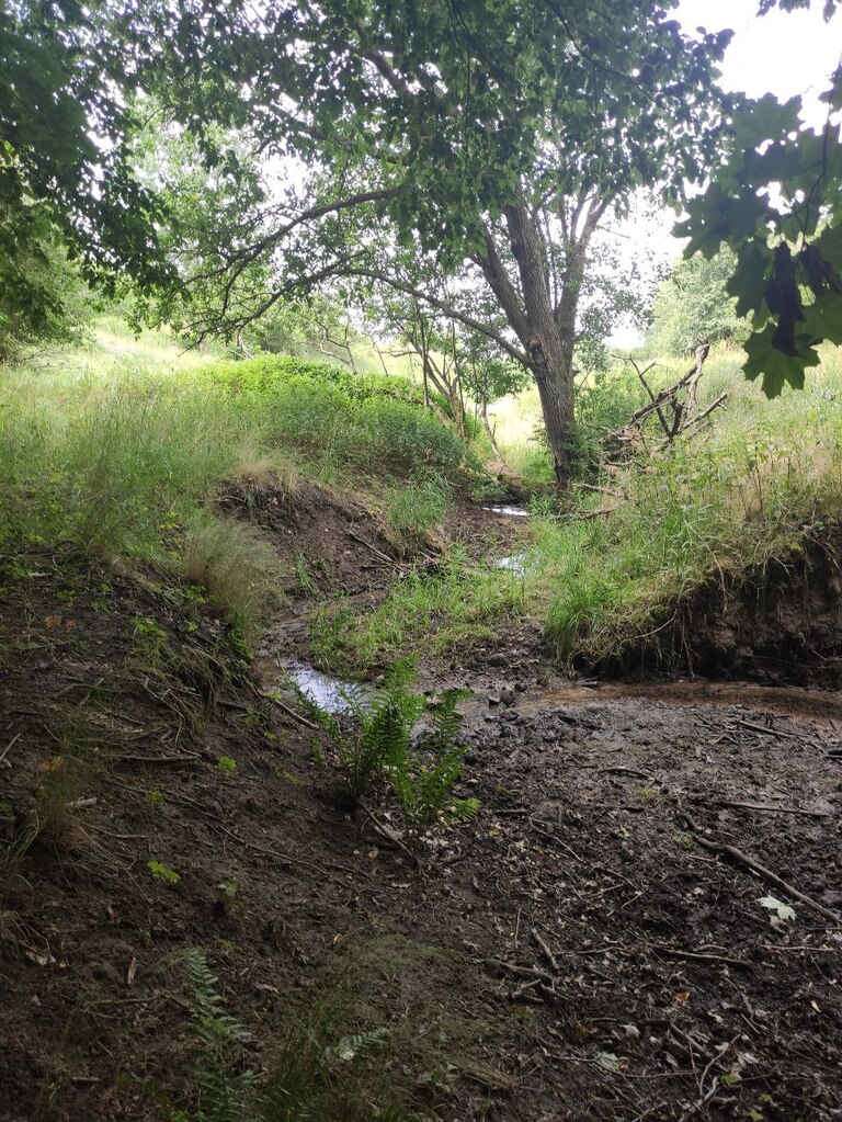 Działki rolne na sprzedaż- niedaleko Barczewa - zdjęcie 6