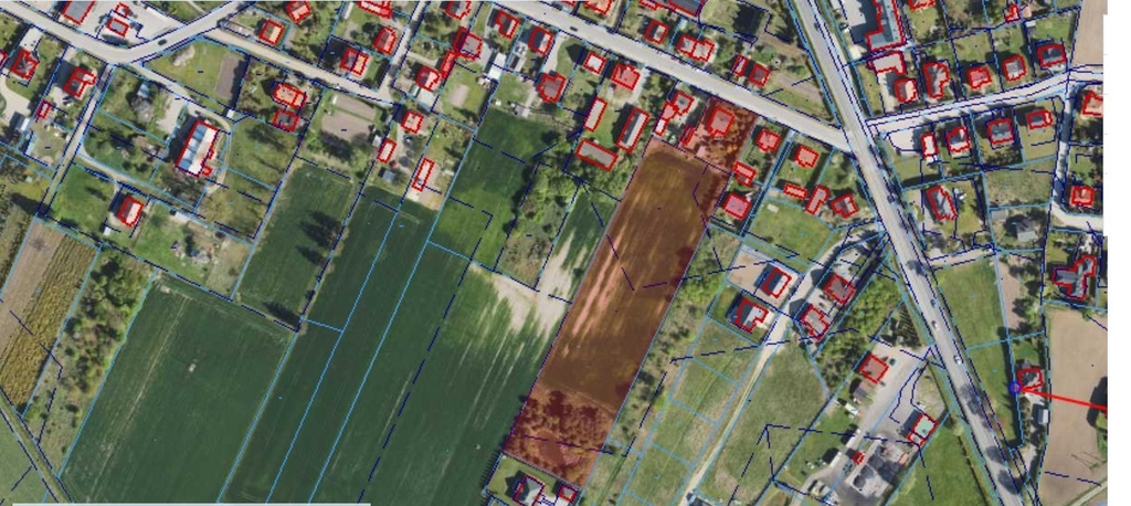 Dom na sprzedaż Chruszczewo z działką 1.1502 ha ! - zdjęcie 3