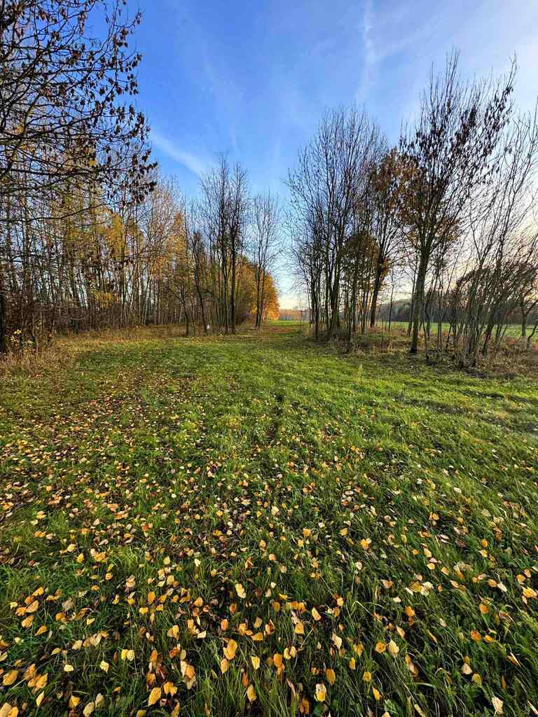 Działka bud-rolna Łomnica/Garwolin -2,47 ha - zdjęcie 3