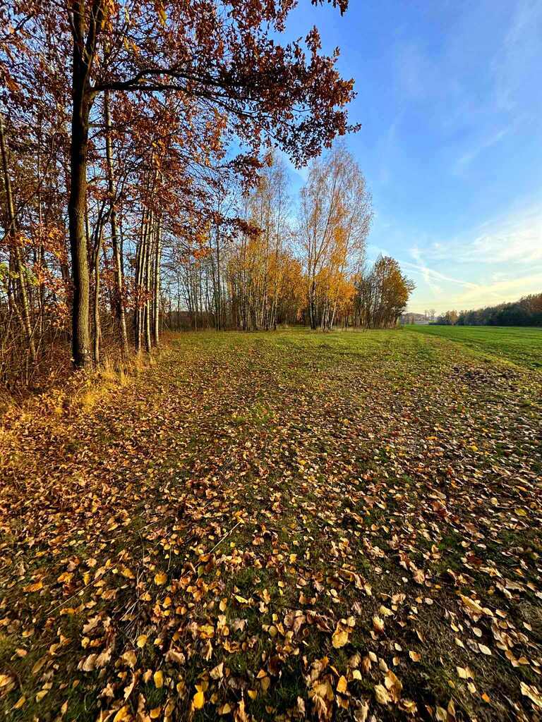 Działka bud-rolna Łomnica/Garwolin -2,47 ha - zdjęcie 4
