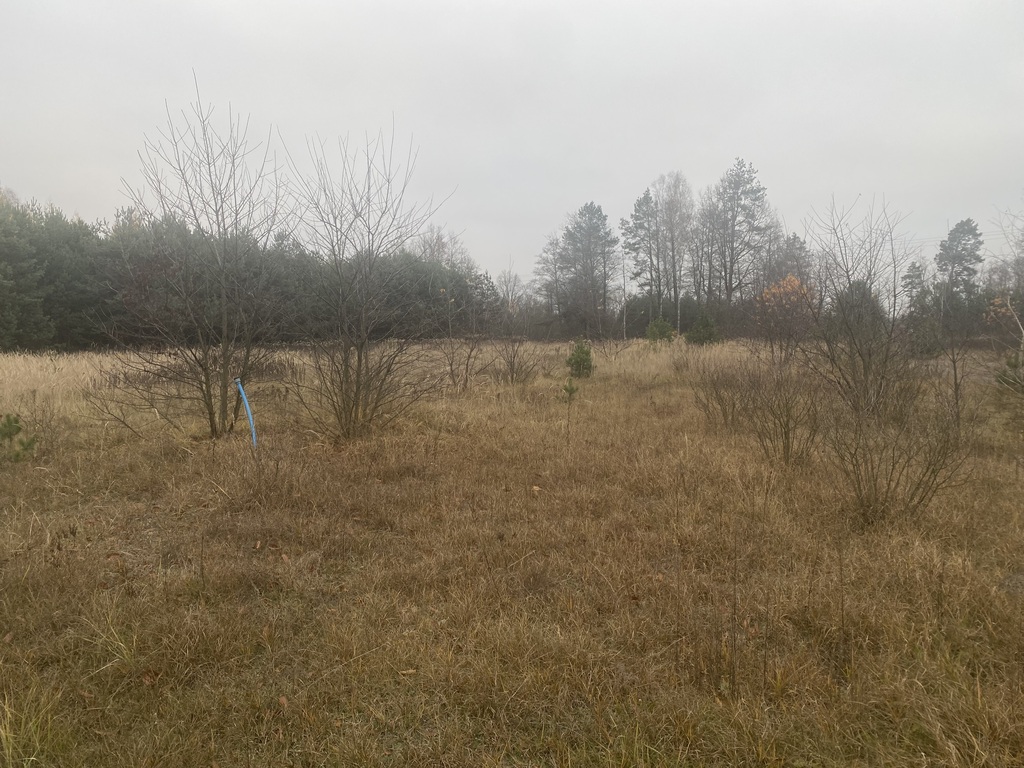 Atrakcyjna działka przy Lasach Janowskich - zdjęcie 3