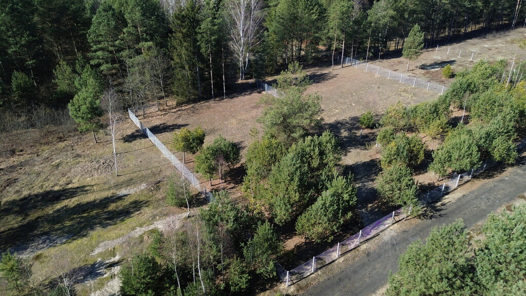 Ołdakowizna: Działka 892m2 z pozwoleniem i WZ - zdjęcie 3