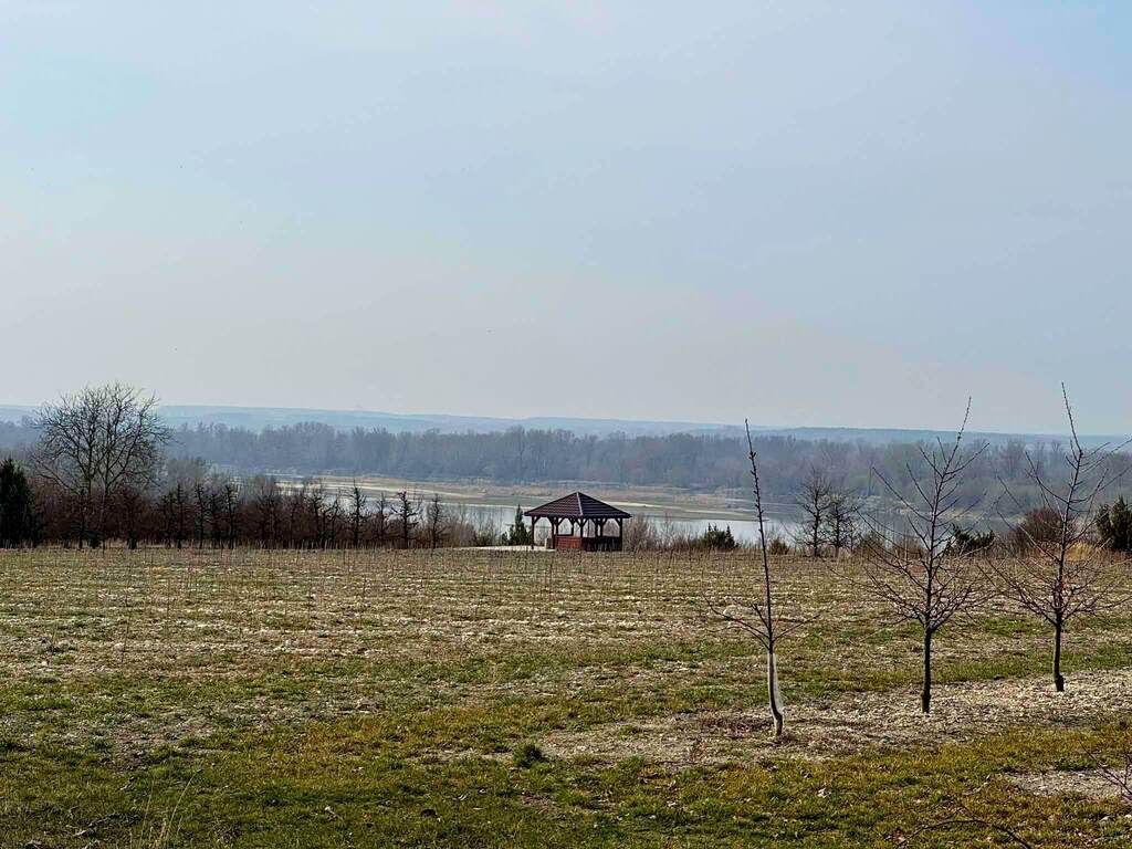 Działka usługowo-budowlana 5000m2 Kaliszany kol. - zdjęcie 6