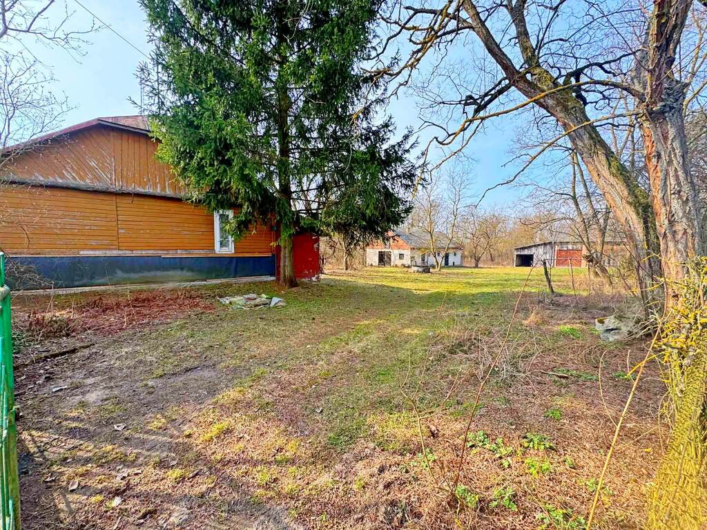 Działka usługowo-budowlana 5000m2 Kaliszany kol. - zdjęcie 3