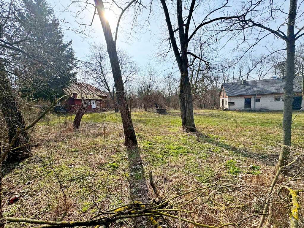Działka usługowo-budowlana 5000m2 Kaliszany kol. - zdjęcie 4