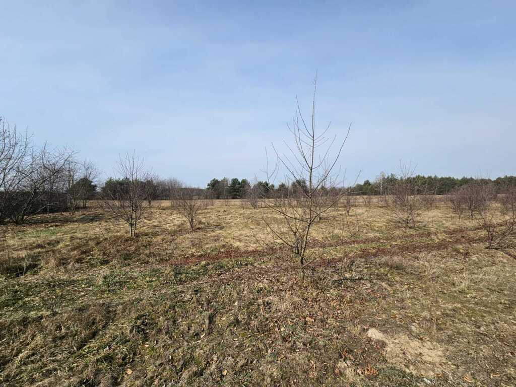 Działka 1500m² Stare Załubice | MPZP i Usługi - zdjęcie 2