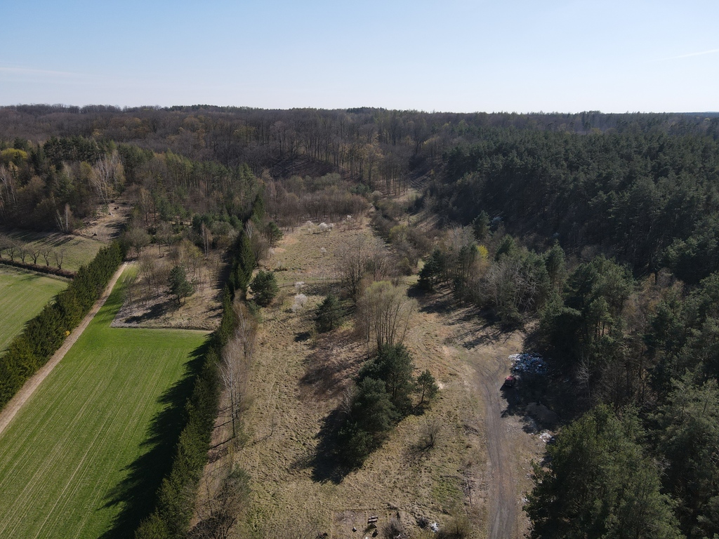 Działka 1,89 ha z Warunkami Zabudowy - zdjęcie 3