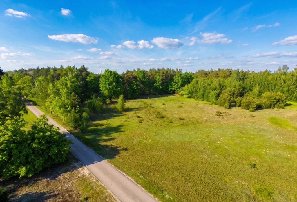 Wyjątkowa działka z prywatnym lasem – gm.Szczerców - zdjęcie 2