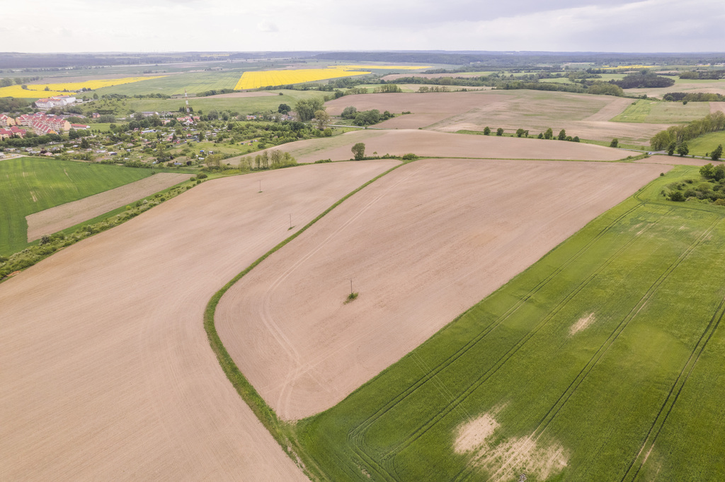 Działka w Cedyni 5,36ha z warunkami zabudowy - zdjęcie 2
