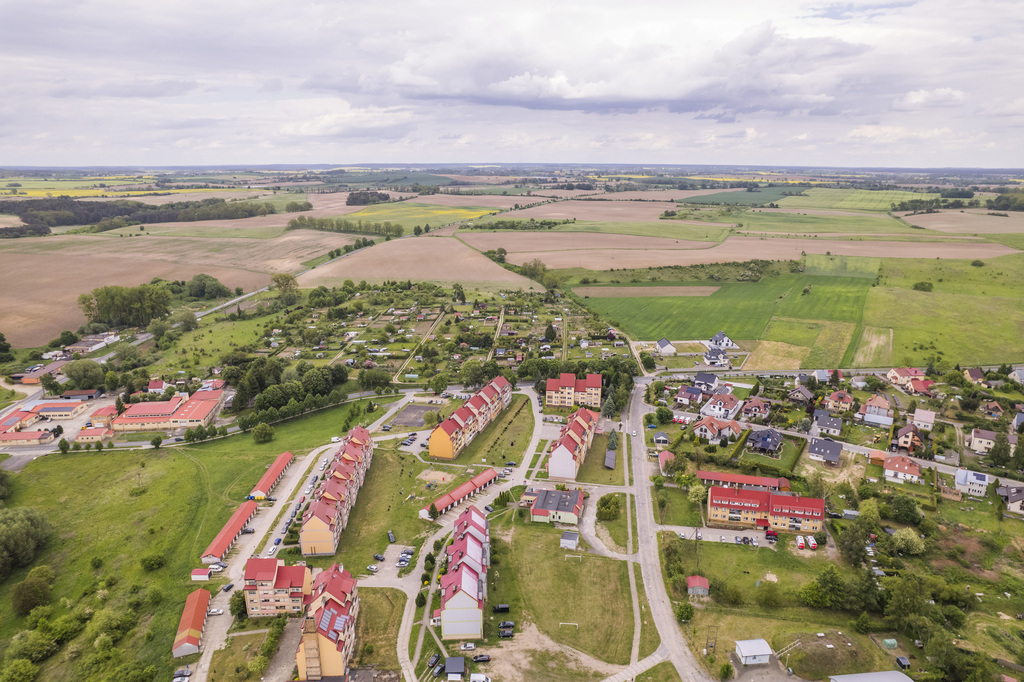 Działka w Cedyni 5,36ha z warunkami zabudowy - zdjęcie 4