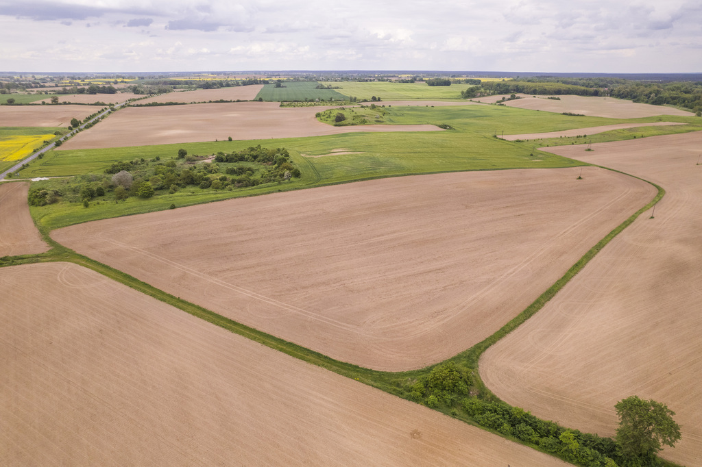 Działka w Cedyni 5,36ha z warunkami zabudowy - zdjęcie 5