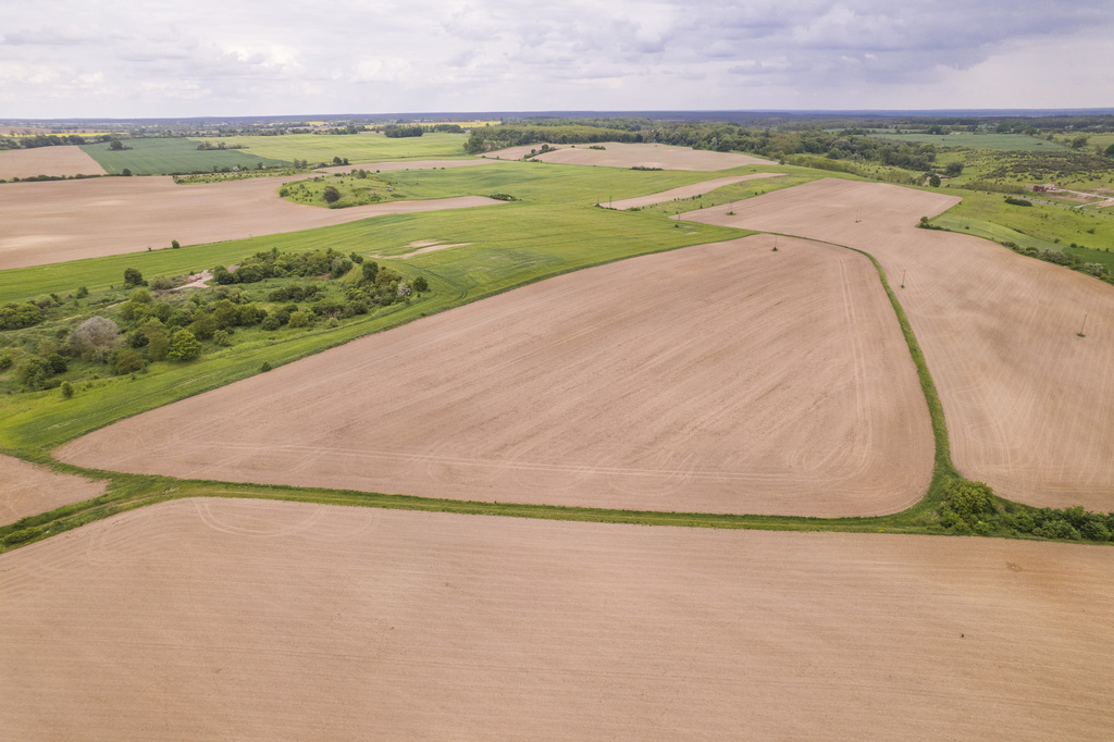 Działka w Cedyni 5,36ha z warunkami zabudowy - zdjęcie 6