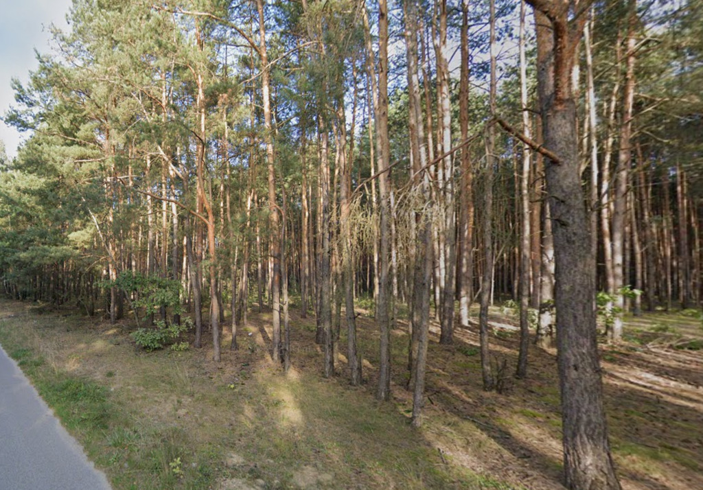 Działka w miejscowości Biała Góra - zdjęcie 3