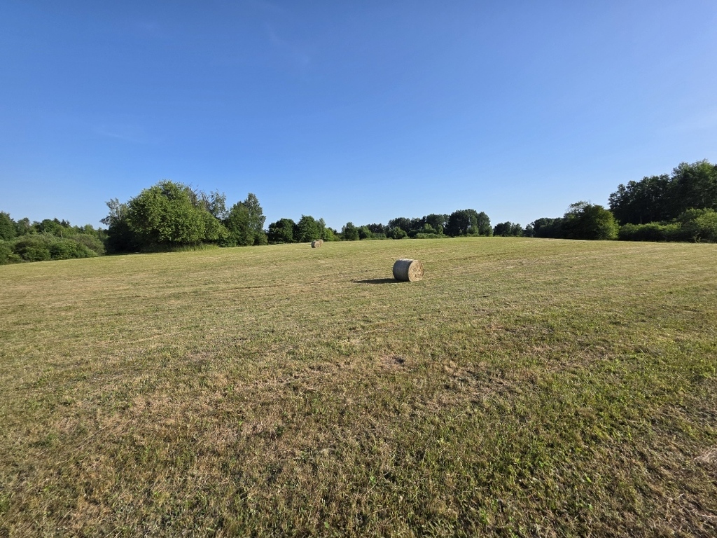 Atrakcyjna działka rolna 1,50 ha – Butryny - zdjęcie 4