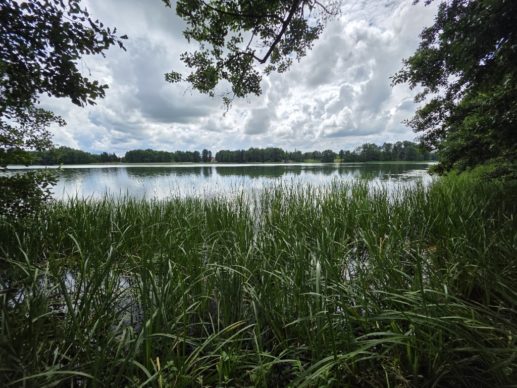 Działki rekreacyjne z linią brzegową nad Jeziorem - zdjęcie 2