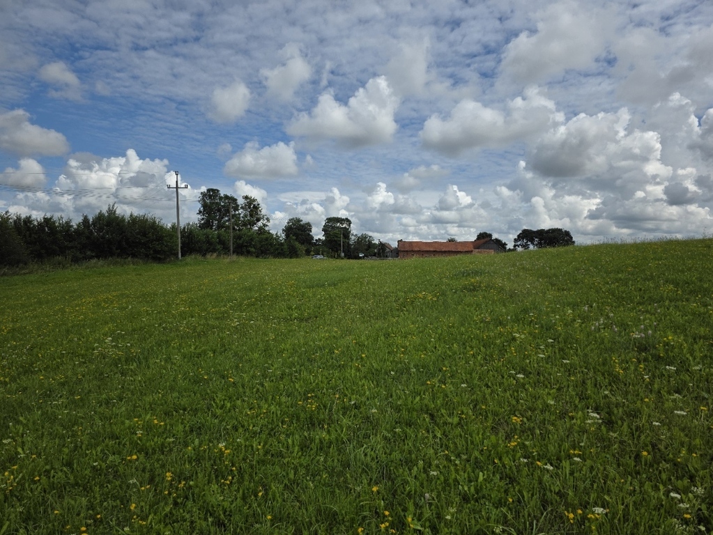 Działki rekreacyjne z linią brzegową nad Jeziorem - zdjęcie 6
