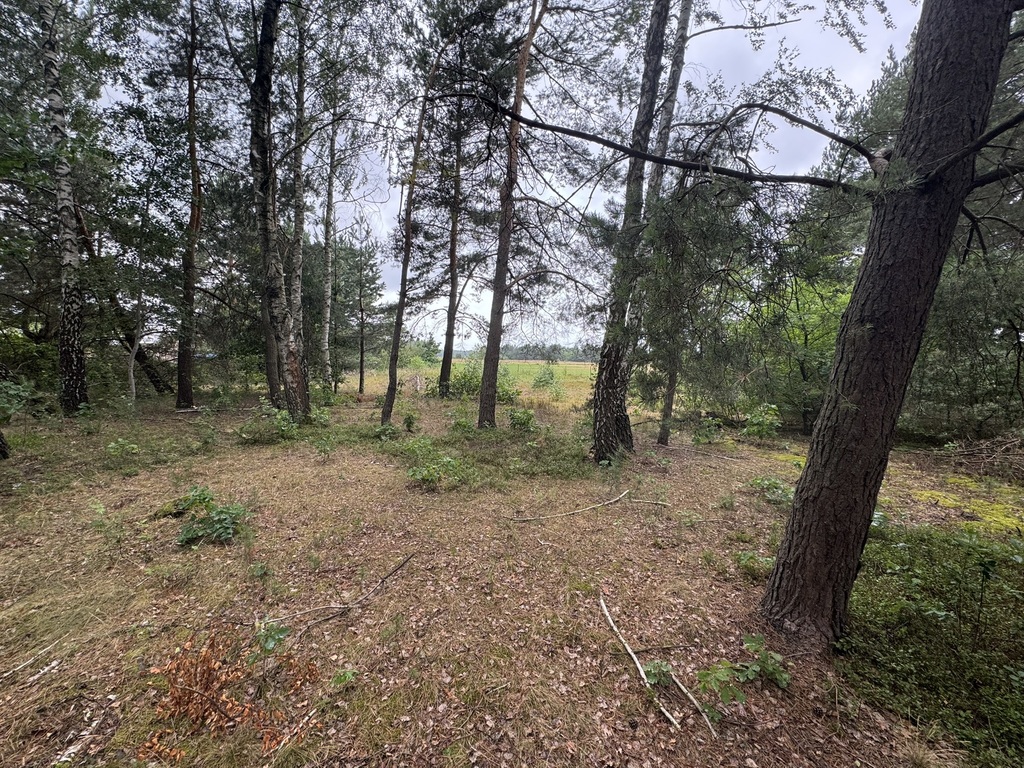 Dwie działki rekreacyjne, Podgać gmina Zabrodzie - zdjęcie 2