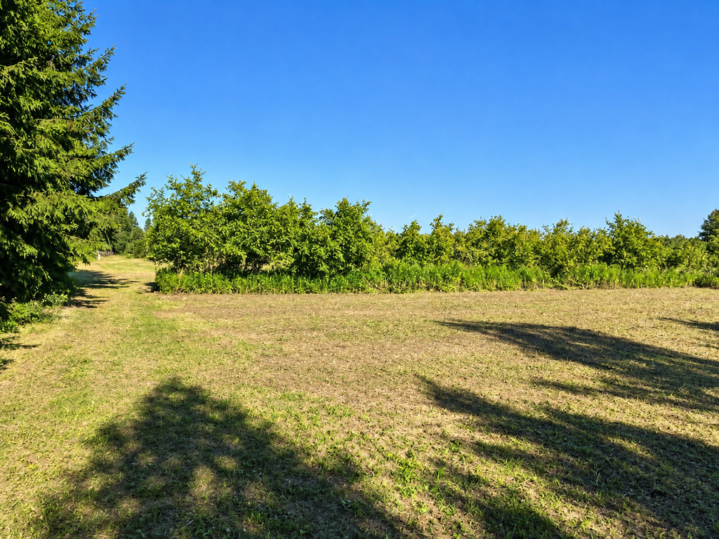 Borzęcin Duży | 3094 m² | 1MNW | działka pod dom | 1 249 000 zł - zdjęcie 3