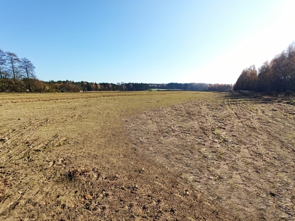 Działki świeżo po podziale geodezyjnym 10min od A2 - zdjęcie 2